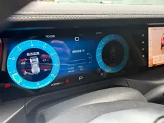 2021 Tank 300 Off-road 2.0T Conqueror — фото 16