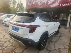 2023 Kia Seltos 1.5L CVT Luxury, белый — фото 4