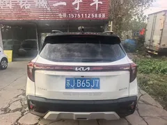 2023 Kia Seltos 1.5L CVT Luxury, белый — фото 5