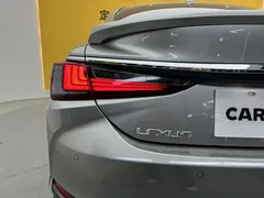 2021 Lexus ES 300h Hybrid Premium — фото 9