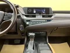 2021 Lexus ES 300h Hybrid Premium — фото 35