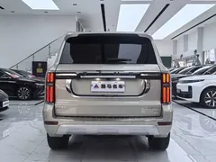 2022 Tank 500 3.0T High-end Custom 5-seat — фото 14