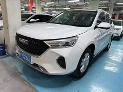 2021 Haval M6 Plus 1.5T DCT Premium, белый — фото 1