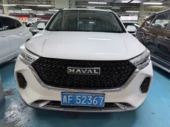 2021 Haval M6 Plus 1.5T DCT Premium, белый — фото 2