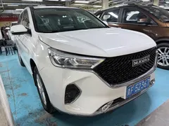 2021 Haval M6 Plus 1.5T DCT Premium, белый — фото 3