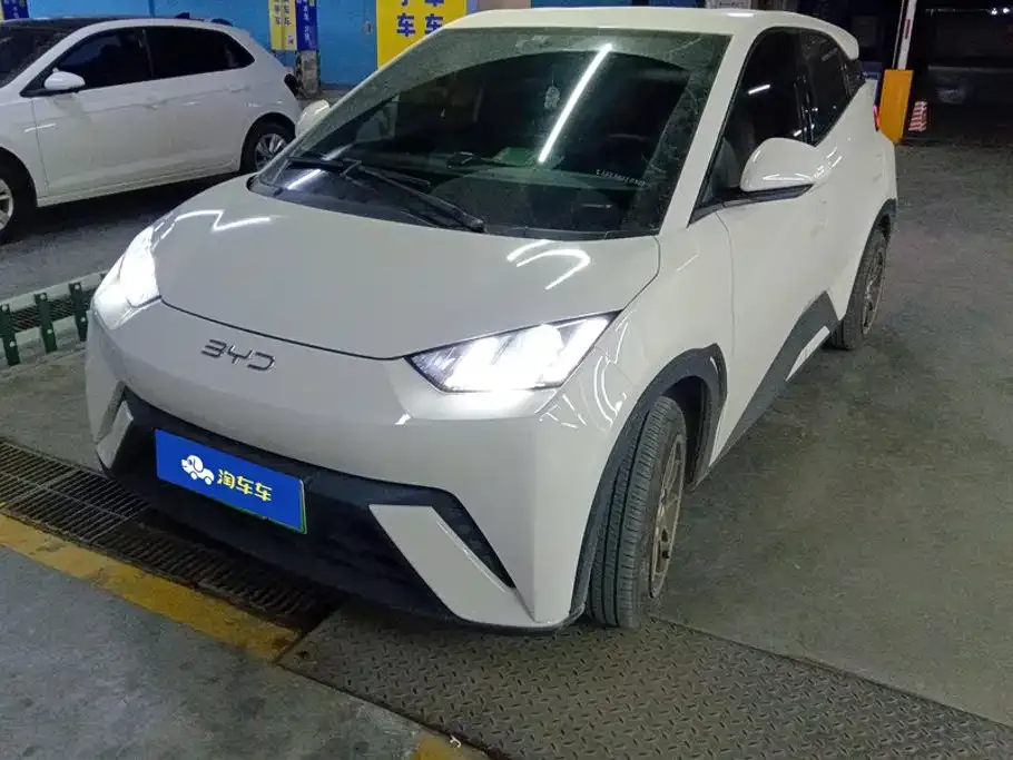 2025 BYD Seagull 305km Vitality