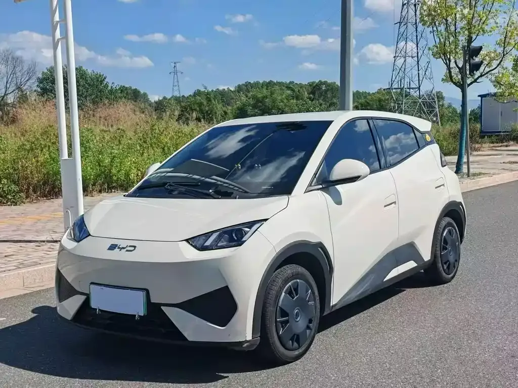 2025 BYD Seagull 305km Vitality