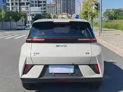 2025 BYD Seagull 305km Vitality, белый — фото 8
