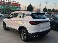 2021 Geely Coolray 1.4T MT Gold, белый — фото 6