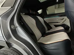 2021 BYD Song PLUS EV Premium — фото 19