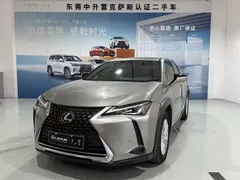 2020 Lexus UX 200 Special Edition — фото 1