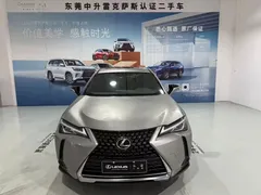 2020 Lexus UX 200 Special Edition — фото 2