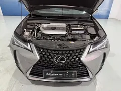 2020 Lexus UX 200 Special Edition — фото 9
