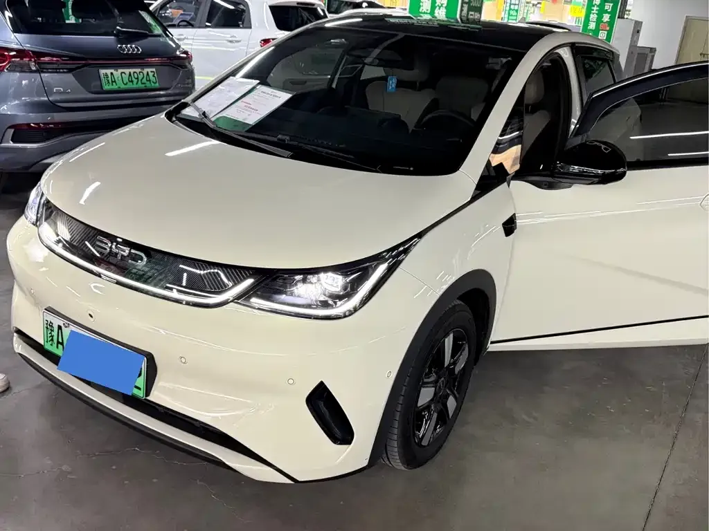 2024 BYD Dolphin Honor 420km Fashion