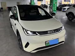2024 BYD Dolphin Honor 420km Fashion — фото 2