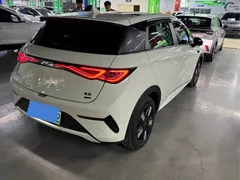 2024 BYD Dolphin Honor 420km Fashion — фото 8