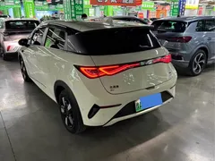 2024 BYD Dolphin Honor 420km Fashion — фото 9