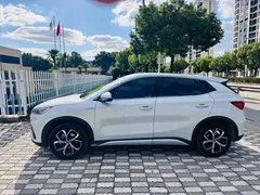 2022 BYD Yuan PLUS 510km Premium, белый — фото 8
