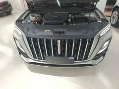 2023 Hongqi HS5 2.0T 4WD Pro — фото 20