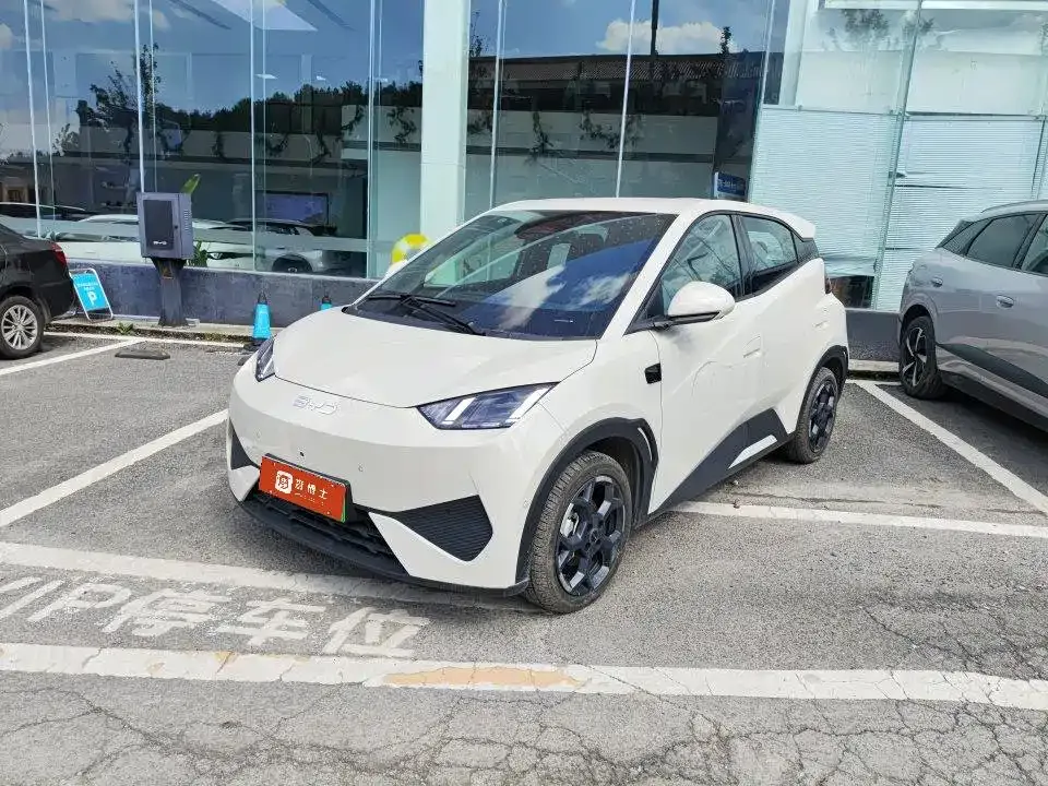 2025 BYD Seagull 305km Freedom