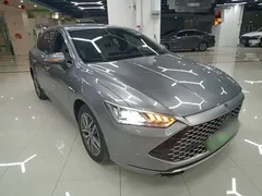 2023 BYD Qin PLUS Champion DM-i PHEV 120km — фото 4