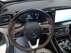 2023 BYD Qin PLUS Champion DM-i PHEV 120km — фото 11