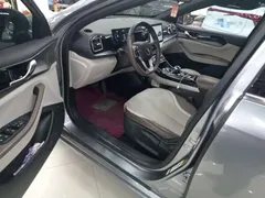 2023 BYD Qin PLUS Champion DM-i PHEV 120km — фото 15