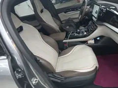 2023 BYD Qin PLUS Champion DM-i PHEV 120km — фото 25