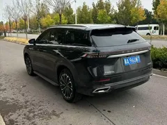 2023 Chery Tiggo 9 2.0T AT 2WD Premium 7-seat, чёрный — фото 9