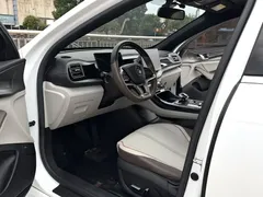2023 BYD Qin PLUS Champion EV 510km, белый — фото 4