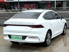 2023 BYD Qin PLUS Champion EV 510km, белый — фото 9