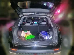 2022 Changan CS75 PLUS 2nd Gen 1.5T AT Premium — фото 20