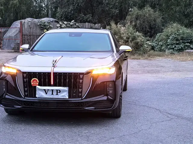 2025 Hongqi H9 2.0T 2WD Fashion 5