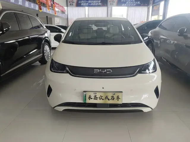 2025 BYD Dolphin Smart Driving 420km Freedom EV