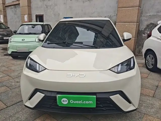 2025 BYD Seagull 305km Vitality
