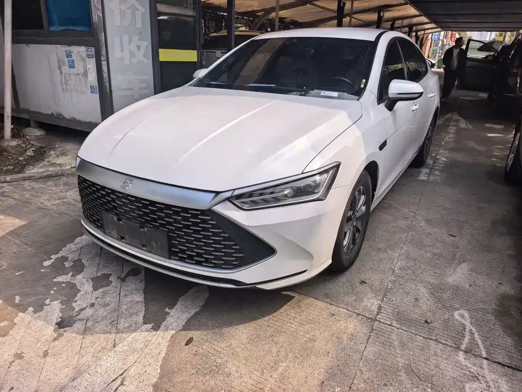 2023 BYD Qin PLUS Champion EV 510km Leading