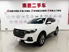 2021 Haval H6 1.5GDIT AT Guochao Champion, белый — фото 1