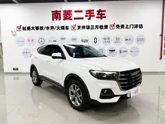 2021 Haval H6 1.5GDIT AT Guochao Champion, белый — фото 3