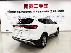 2021 Haval H6 1.5GDIT AT Guochao Champion, белый — фото 4