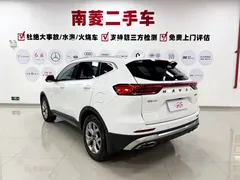 2021 Haval H6 1.5GDIT AT Guochao Champion, белый — фото 6