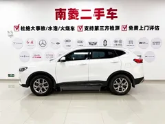 2021 Haval H6 1.5GDIT AT Guochao Champion, белый — фото 7