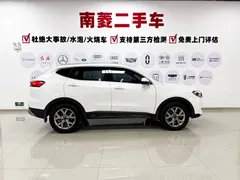 2021 Haval H6 1.5GDIT AT Guochao Champion, белый — фото 8