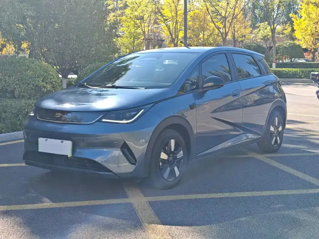 2025 BYD Dolphin Smart Driving 410km Fashion