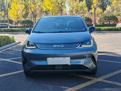 2025 BYD Dolphin Smart Driving 410km Fashion — фото 2