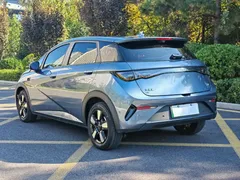 2025 BYD Dolphin Smart Driving 410km Fashion — фото 16