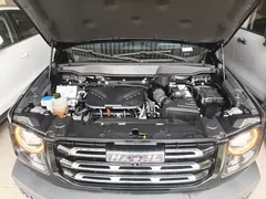 2022 Haval Dargo 2.0T DCT 4WD, чёрный — фото 20