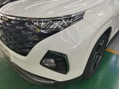 2021 Hyundai Custo 380TGDi LUX Premium, белый — фото 24