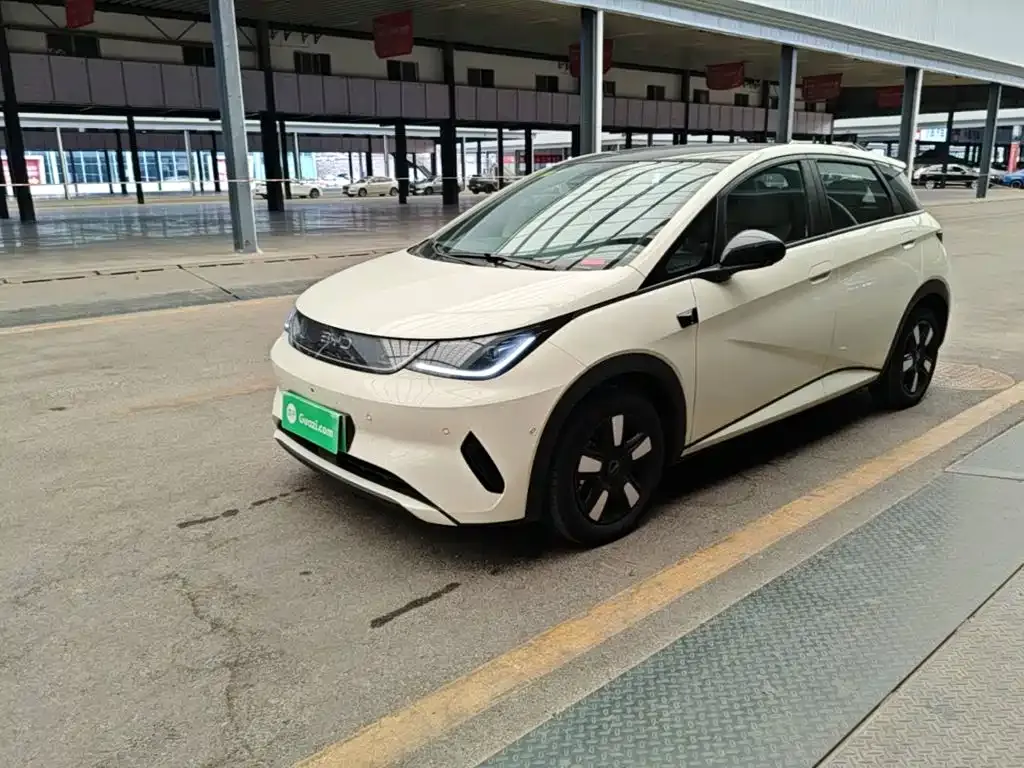 2025 BYD Dolphin Smart Driving 410km Fashion