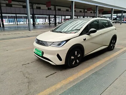 2025 BYD Dolphin Smart Driving 410km Fashion