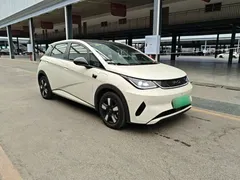 2025 BYD Dolphin Smart Driving 410km Fashion, белый — фото 4